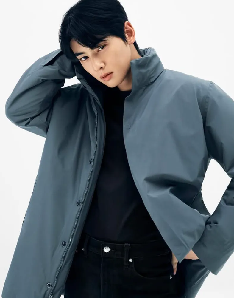 韓国俳優チャ・ウヌ
