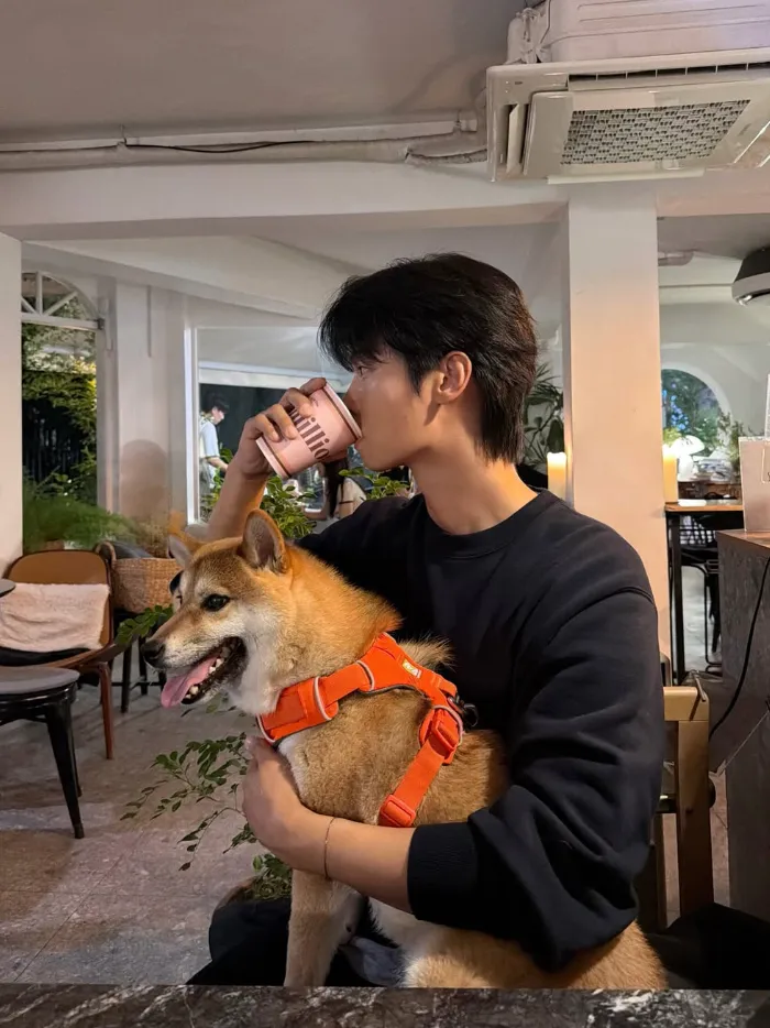 韓国俳優チャ・ハギョン(VIXXエン)