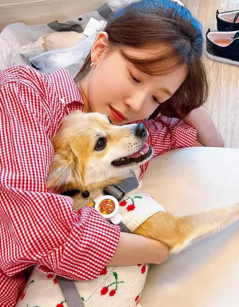 韓国女優チョン・インソン