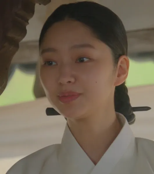 韓国ドラマ『夜に咲く花』キャスト|チェ・ユファ(ペク氏夫人役)