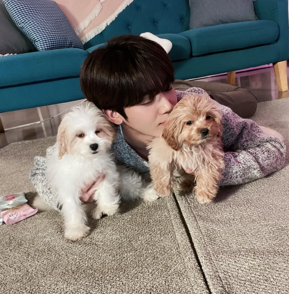 韓国俳優キム・ヨハン