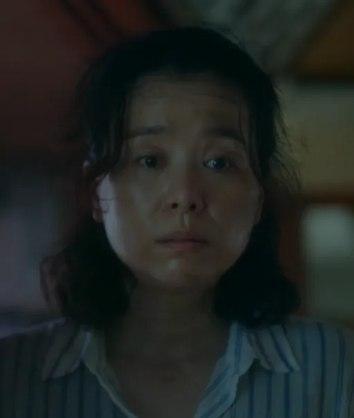 韓国映画『ソウルメイト』キャスト｜チャン・ヘジン(ハウンの母役)