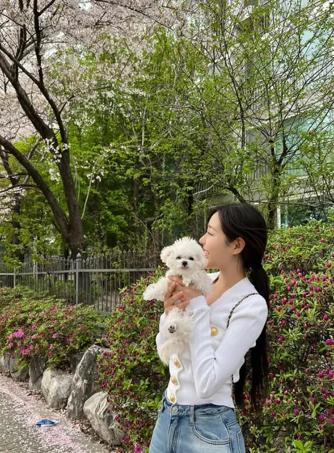 韓国女優シン・スルギ